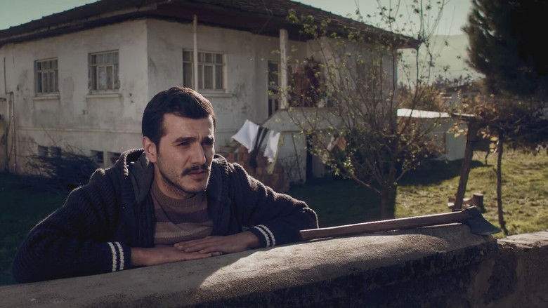 Butun Saadetler Mumkundur (2017)