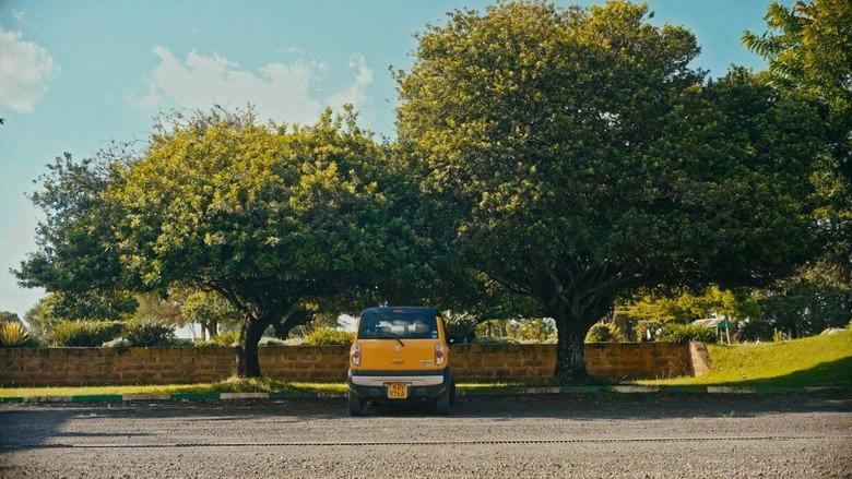 Little High (2026)