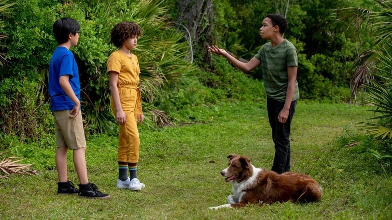 Untitled Pet/Kid Project (2025)