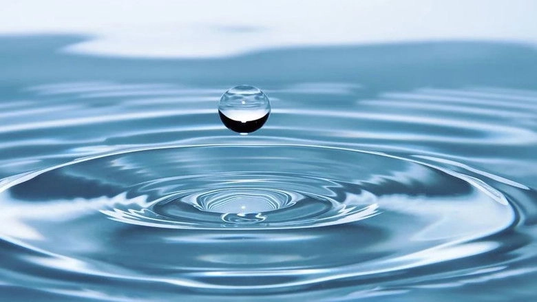 Lords Of Water (2019)