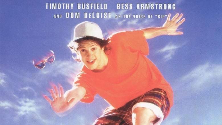 The Skateboard Kid (1993)