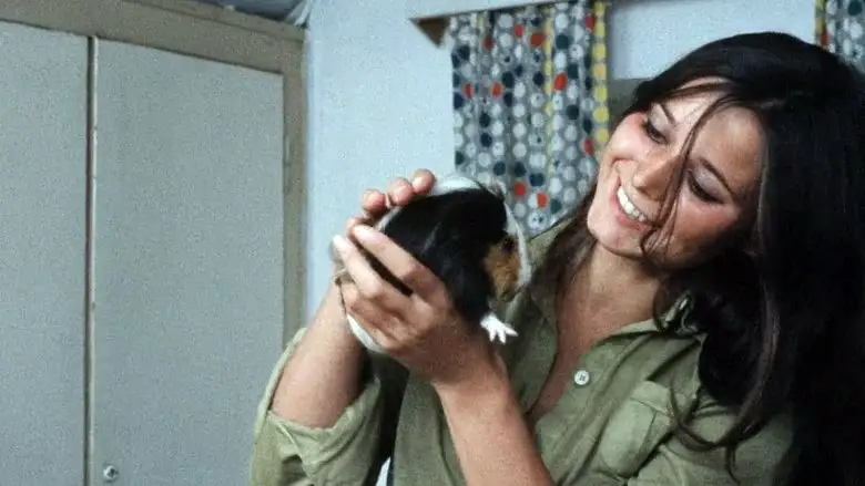 Making Of A Prostitute (1971)
