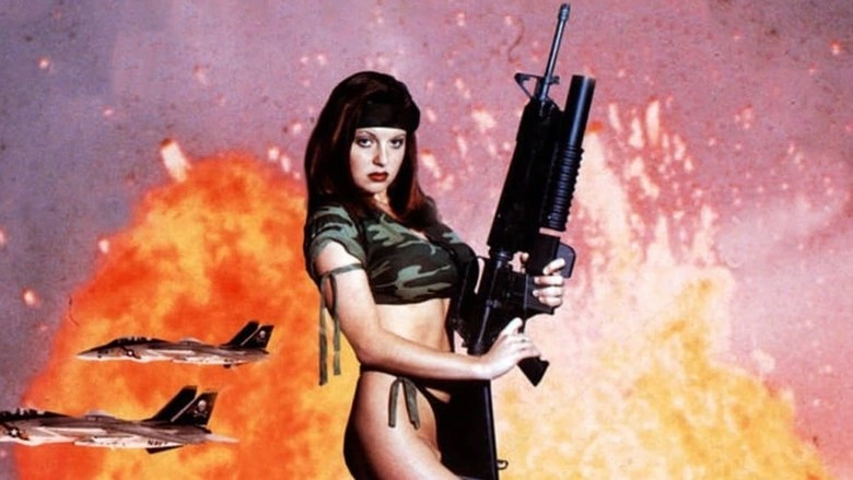 Tomcat Angels (1991)