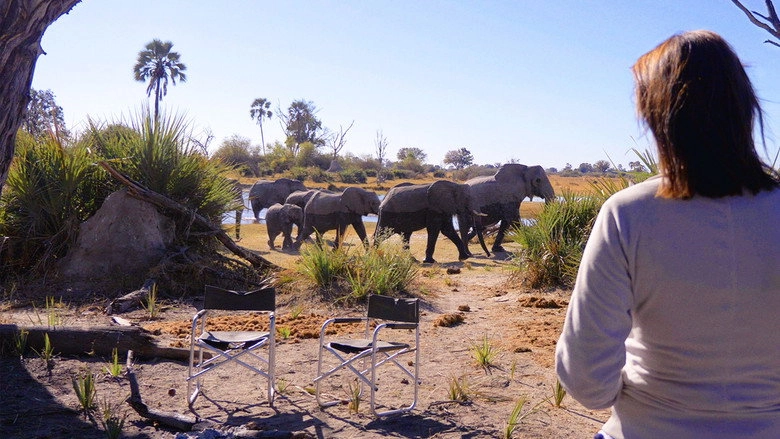 In The Footsteps Of Elephant (2020)