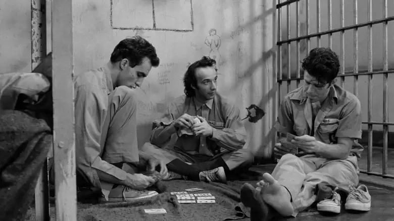 Down By Law (1986)