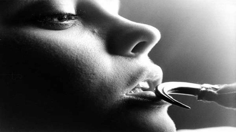 Little Red Riding Hood (1997)