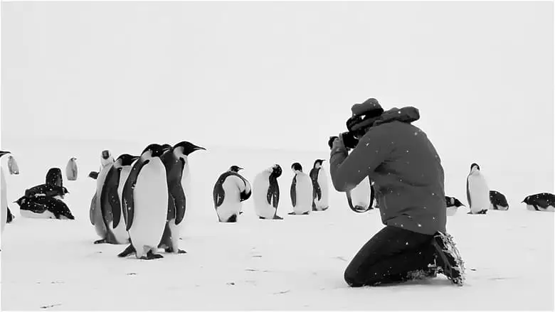 Antarctica Calling (2023)