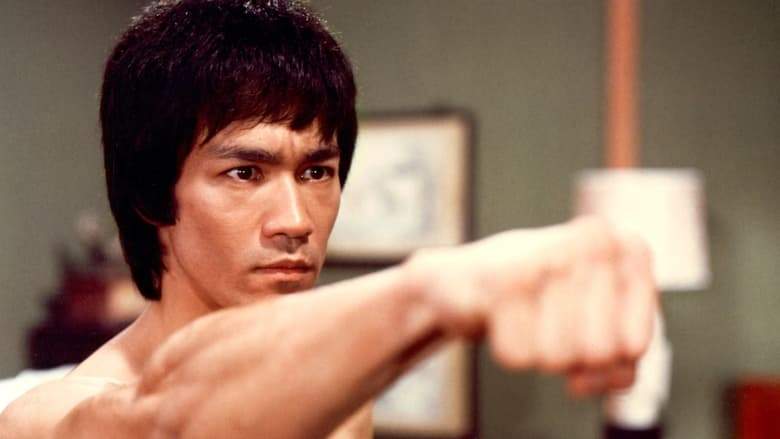 Bruce Lee: The Immortal Dragon (1994)