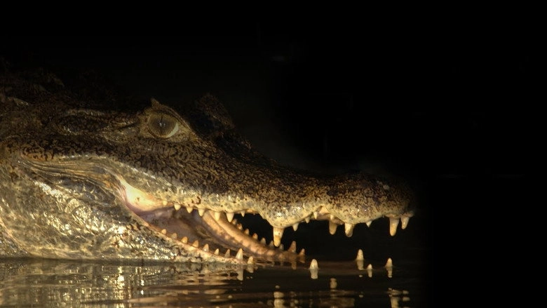 Capturing The Killer Croc (2004)
