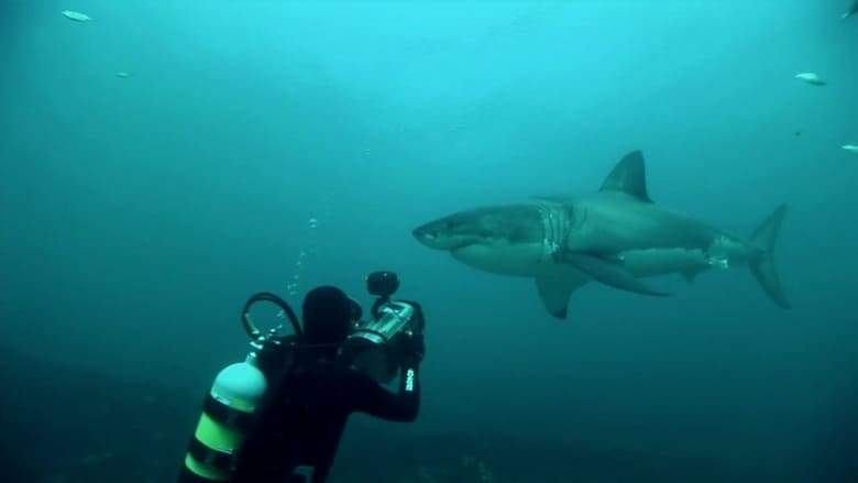 Great White Shark: A Living Legend (2009)