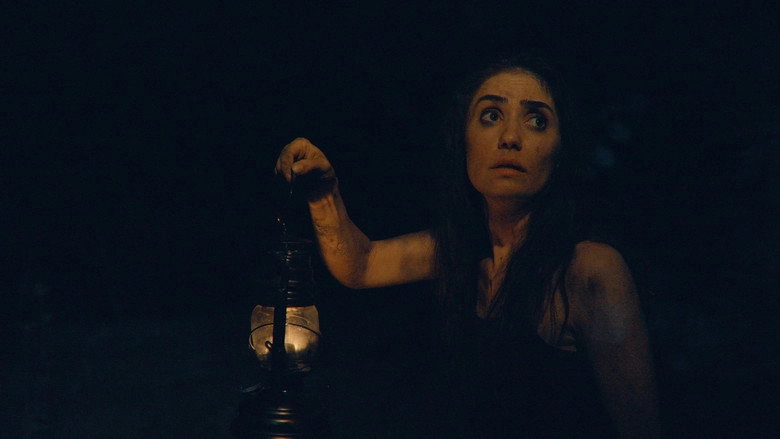 Shadow Wounds (2026)