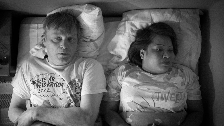 Looking For Joy (2013)