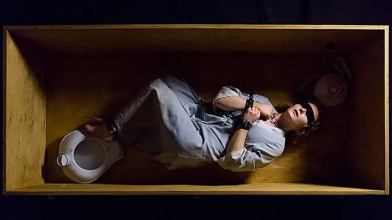 Girl In The Box (2016)