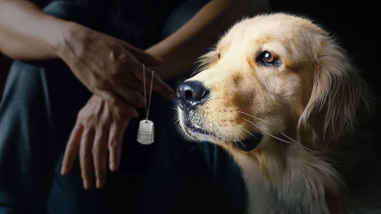 To Be Of Service (2019)