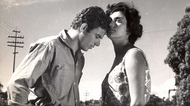 Porto Das Caixas (1963)