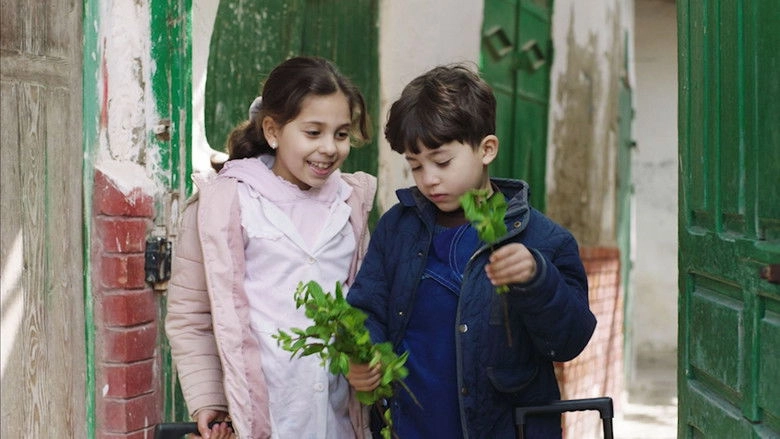 Water For The Birds (2026)