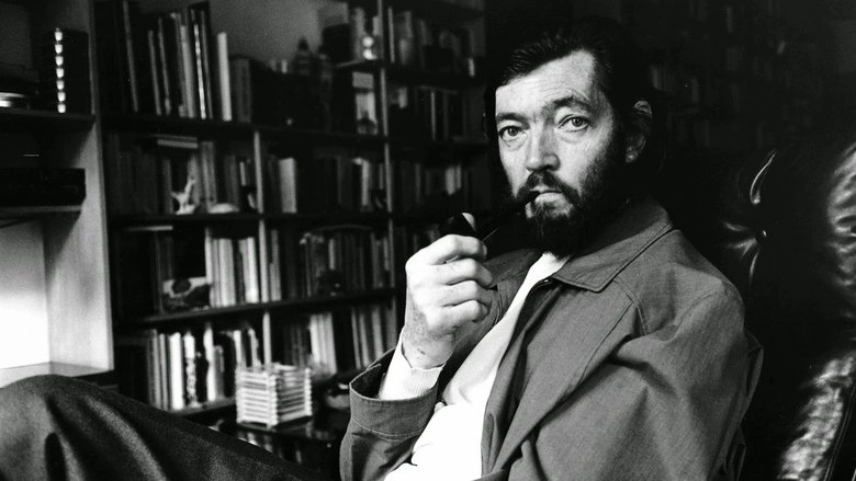 Cortazar (1994)