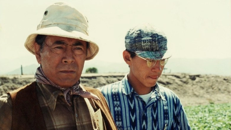 Strawberry Road (1991)