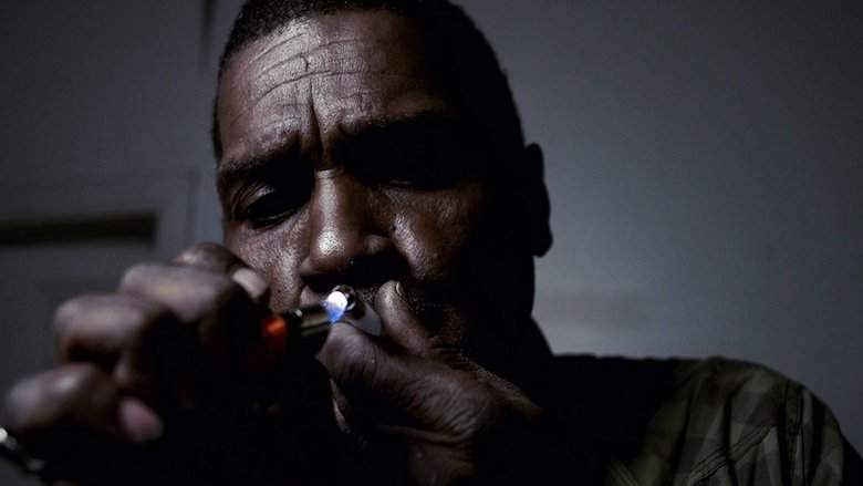 Cocaine: History Between The Lines (2011)