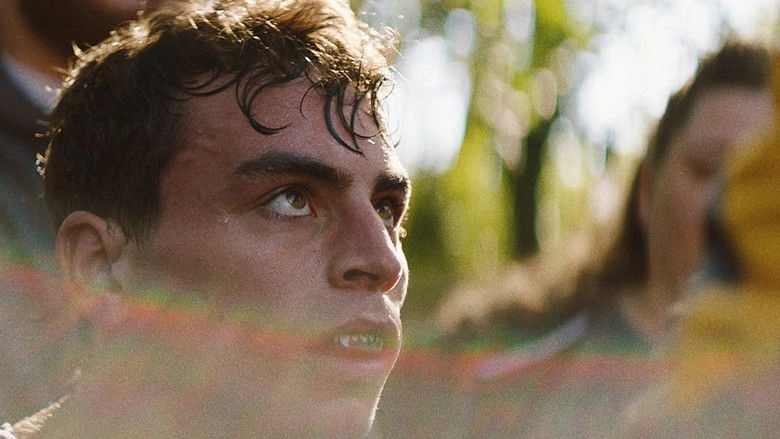 Lions In The Corner (2019)