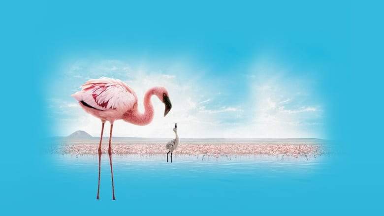 The Crimson Wing: Mystery Of The Flamingos (2008)