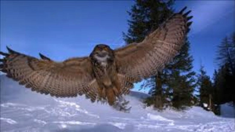 Der Flug Der Eule (2013)