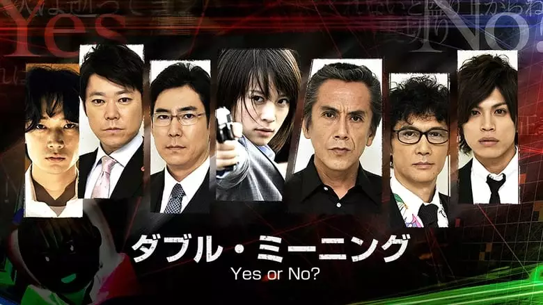 Double Meaning: Yes Or No? (2013)