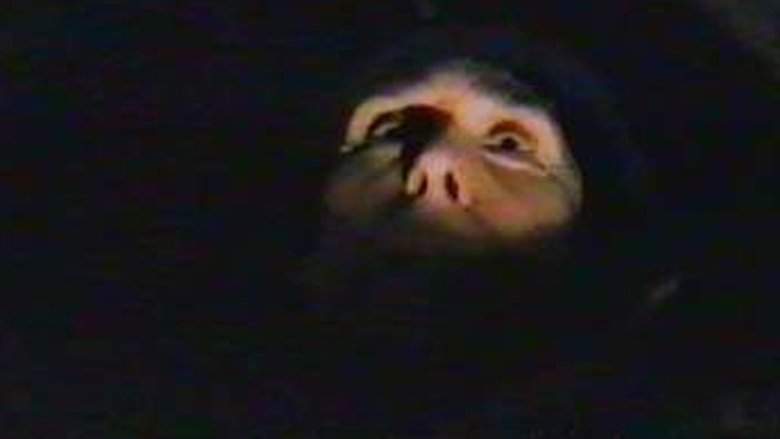Spectrum Voraz (2003)