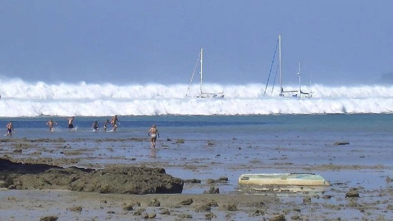 Tsunami: Caught On Camera (2009)