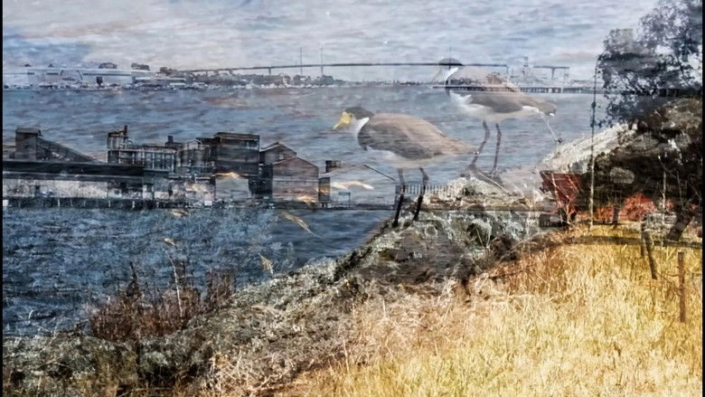 Occupation Studies: Ngayanhurra Bayarral Birrarung (2026)