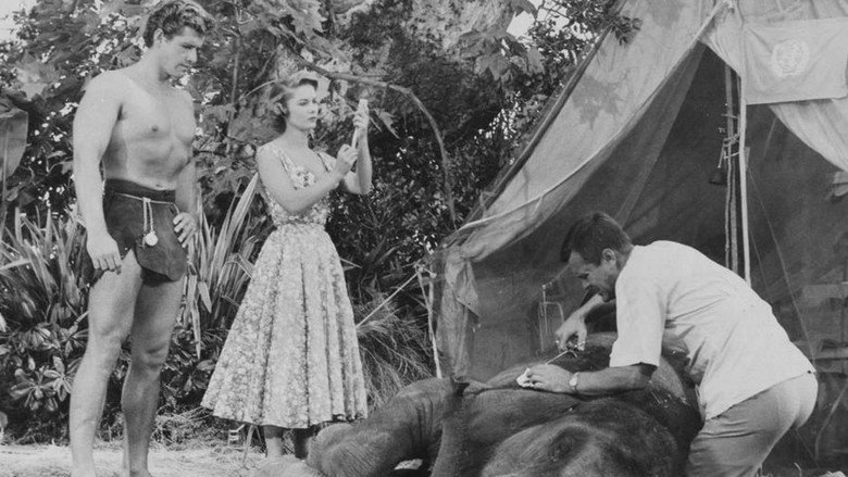 The Jungle Book (1955)