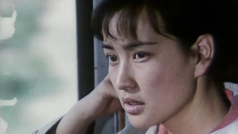 Qian Wang (1981)