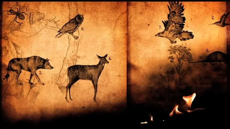 Jonsi: Go Live (2010)