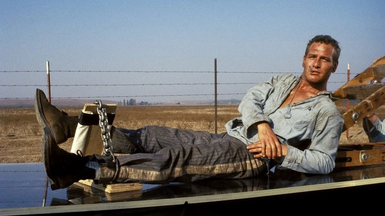 Cool Hand Luke (1967)