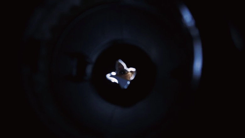 Disposal (2025)