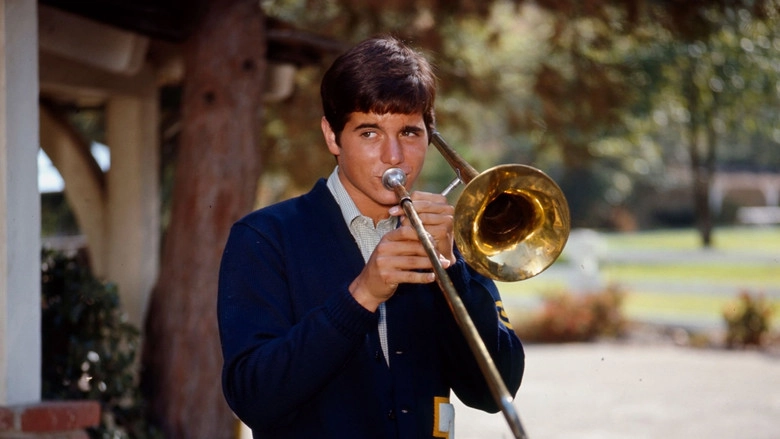 Mr. And Mrs. Bo Jo Jones (1971)