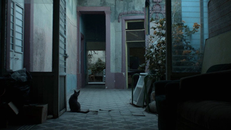 The Blue Years (2017)