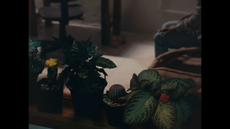 Superficie O Perder El Tiempo En Los Espacios Mas Relucientes (2023)