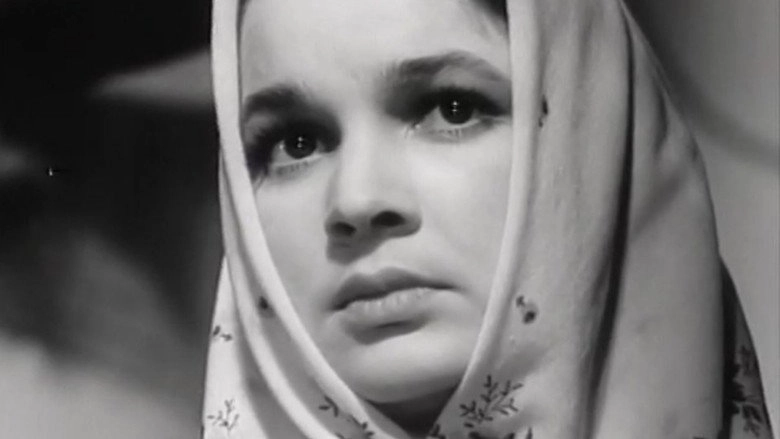 Flower On The Stone (1963)