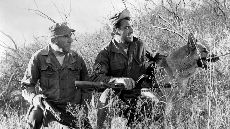 The Young And The Brave (1963)