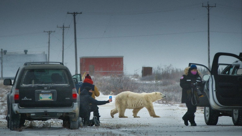 Nuisance Bear (2021)