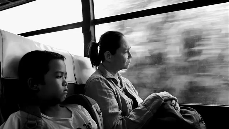 The Woman Who Left (2016)
