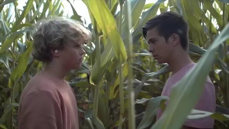 Desire: The Short Films Of Ohm (2019)