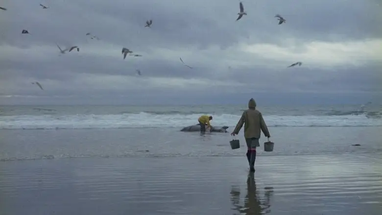 Ring Of Bright Water (1969)