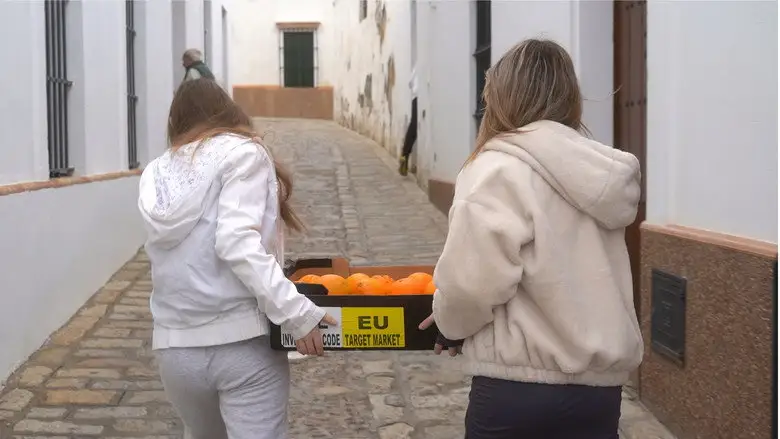Nuevas Raices (2026)