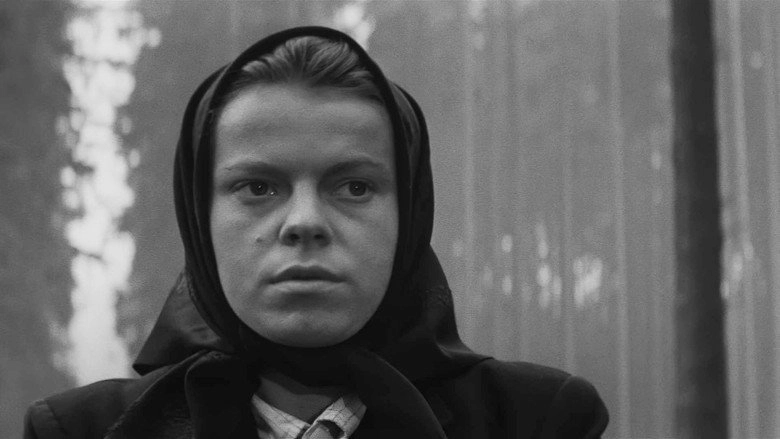 Carriage To Vienna (1966)
