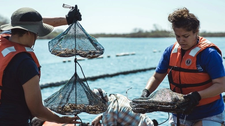 Take Back The Harbor (2018)