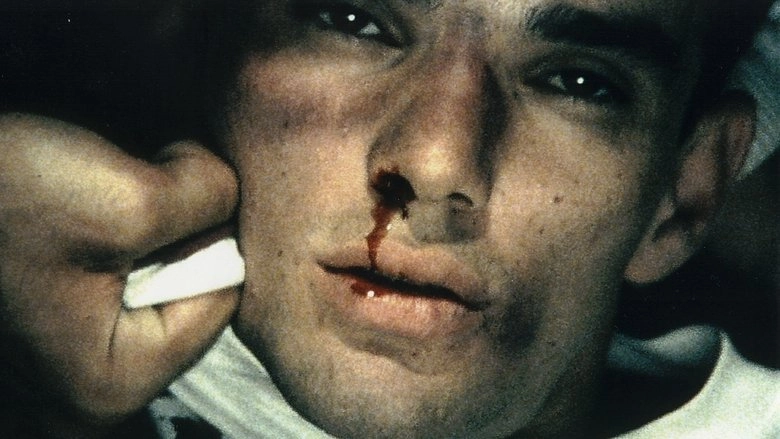 Pater Familias (2003)