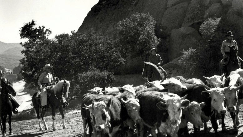 Riders In The Sky (1949)