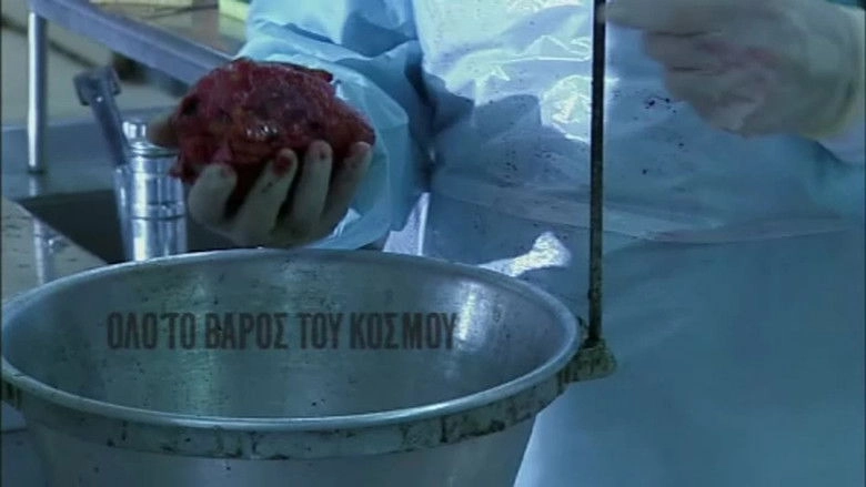 Olo To Varos Tou Kosmou (2004)